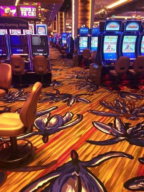 gambling forums|wizard of vegas forum.
